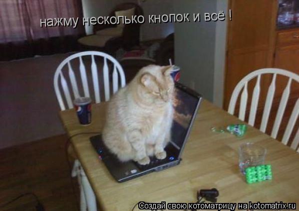 Котоматрица: нажму несколько кнопок и всё !