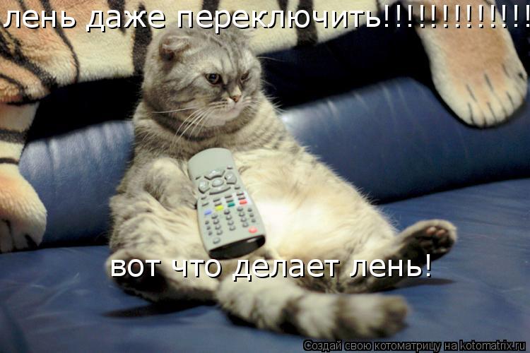 Котоматрица: лень даже переключить!!!!!!!!!!!!!!!! вот что делает лень!
