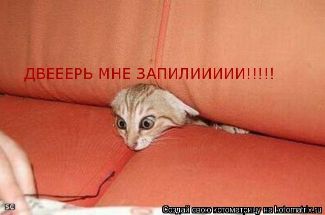 Котоматрица: ДВЕЕЕРЬ МНЕ ЗАПИЛИИИИИ!!!!!