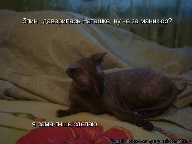 Котоматрица: блин , даверилась Наташке, ну чё за маникюр? я сама лчше сделаю