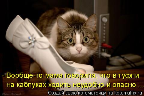 - Вообще-то мама говорила, что в туфли на каблуках ходить неудобно и опасно ...... Котоматрица: - Вообще-то мама говорила, что в туфли на каблуках ходить неудобно и опасно ...
