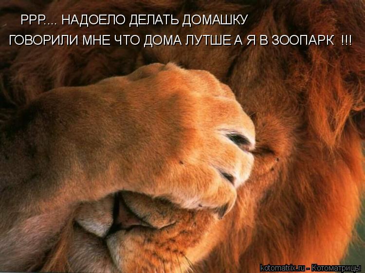 Котоматрица: РРР.... НАДОЕЛО ДЕЛАТЬ ДОМАШКУ ГОВОРИЛИ МНЕ ЧТО ДОМА ЛУТШЕ А Я В ЗООПАРК !!! !!!