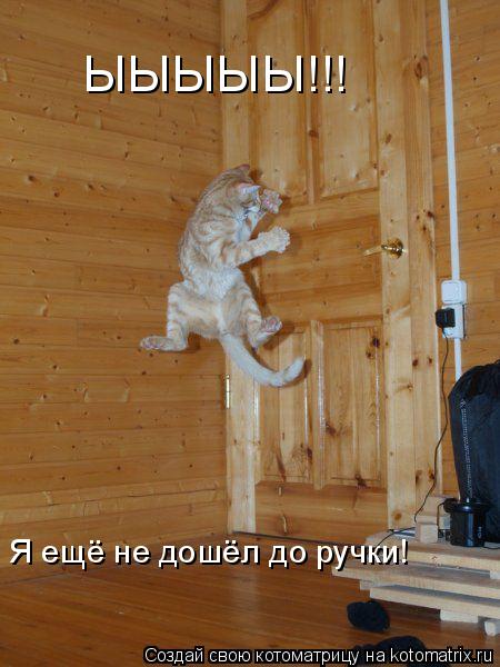 Котоматрица: ЫЫЫЫЫ!!! Я ещё не дошёл до ручки!