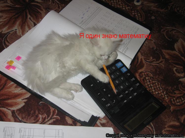 Котоматрица: Я один знаю математиу
