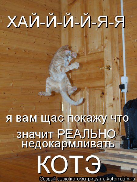 Котоматрица: ХАЙ-Й-Й-Й-Я-Я я вам щас покажу что значит РЕАЛЬНО  недокармливать КОТЭ
