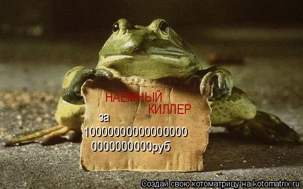 Котоматрица: НАЕМНЫЙ  КИЛЛЕР за 10000000000000000 0000000000руб