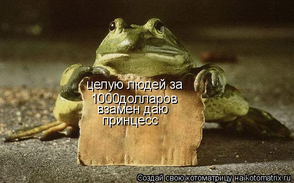 Котоматрица: целую людей за 1000долларов взамен даю принцесс