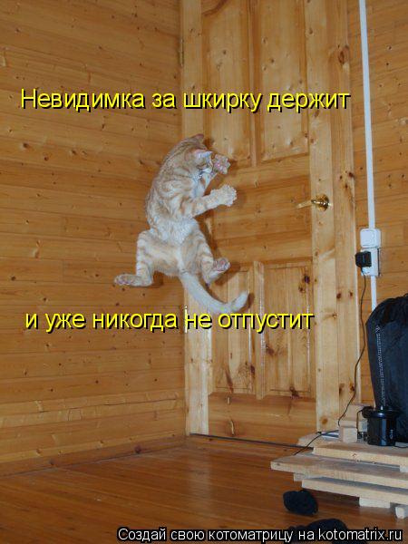 Котоматрица: и уже никогда не отпустит Невидимка за шкирку держит