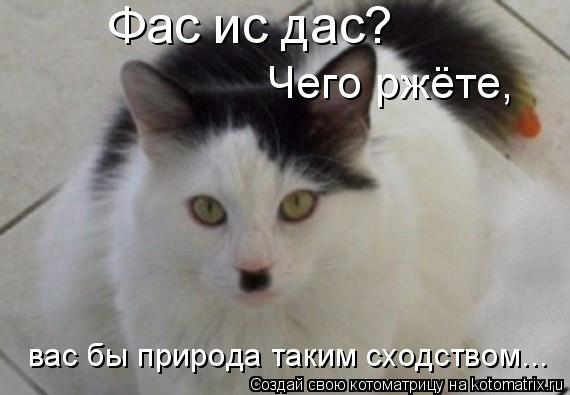 Фас ис дас? Чего ржёте, вас бы природа таким сходством...... Котоматрица: Фас ис дас? Чего ржёте, вас бы природа таким сходством...