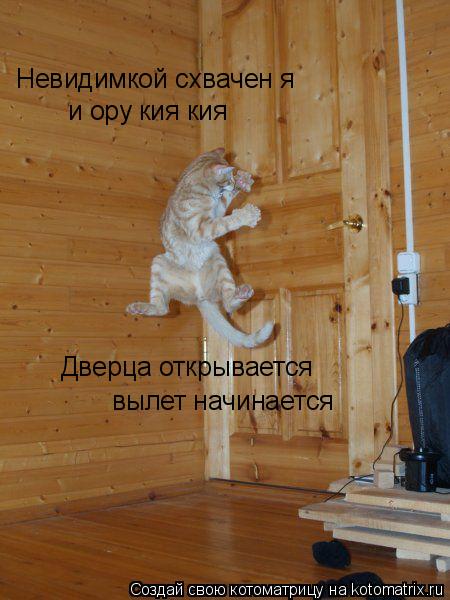 Котоматрица: Невидимкой схвачен я и ору кия кия Дверца открывается вылет начинается