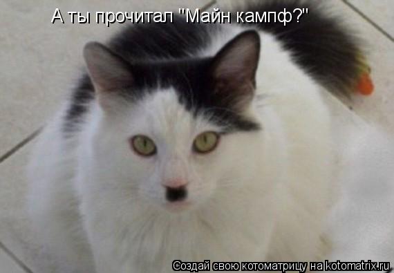 Котоматрица: А ты прочитал "Майн кампф?"