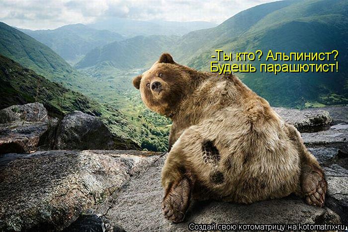 Котоматрица: -Ты кто? Альпинист? Будешь парашютист!