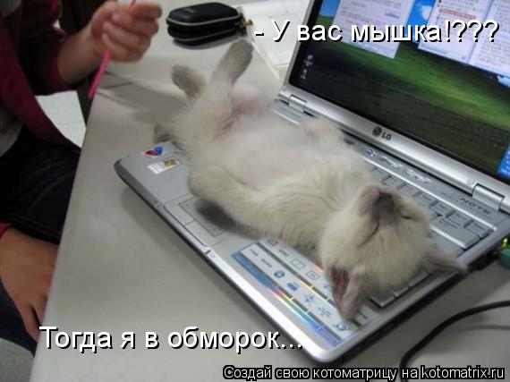 - У вас мышка!??? Тогда я в обморок...... Котоматрица: - У вас мышка!??? Тогда я в обморок...