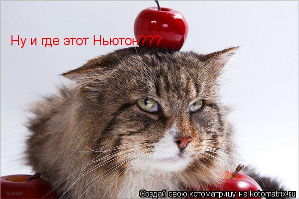 Котоматрица: Ну и где этот Ньютон???