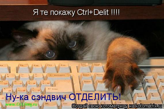 Я те покажу Ctrl+Delit !!!! Ну-ка сэндвич ОТДЕЛИТЬ!... Котоматрица: Я те покажу Ctrl+Delit !!!! Ну-ка сэндвич ОТДЕЛИТЬ!