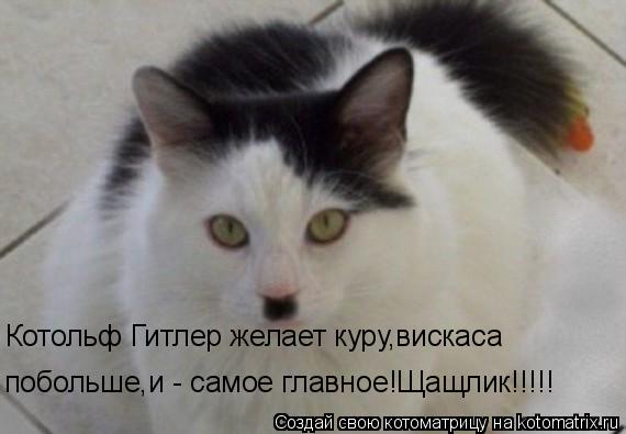 Котоматрица: Котольф Гитлер желает куру,вискаса  побольше,и - самое главное!Щащлик!!!!!