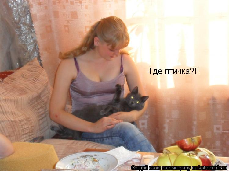 Котоматрица: -Где птичка?!!