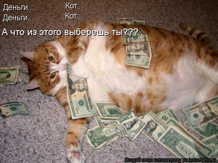 Котоматрица: Деньги... Кот... Кот... Деньги... А что из этого выберешь ты???