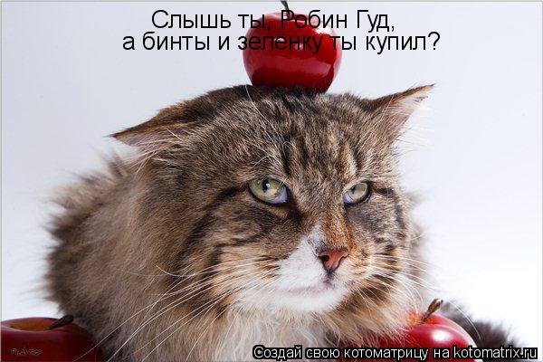 Слышь ты, Робин Гуд, а бинты и зелёнку ты купил?... Котоматрица: Слышь ты, Робин Гуд, а бинты и зелёнку ты купил?