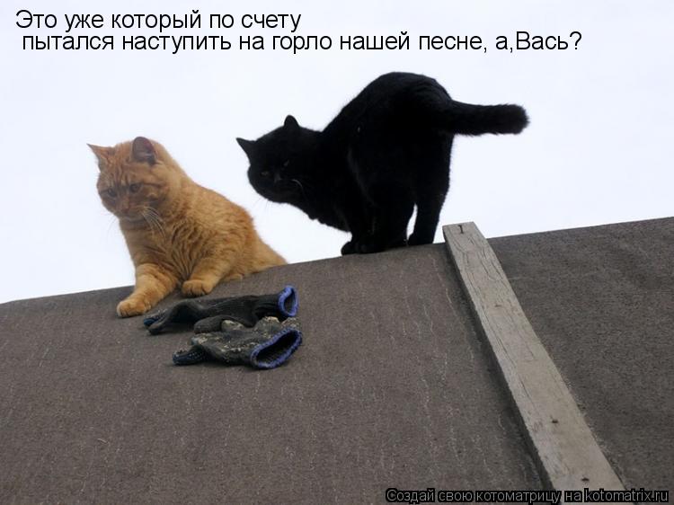 Это уже который по счету пытался наступить на горло нашей песне, а,Вась?... Котоматрица: Это уже который по счету пытался наступить на горло нашей песне, а,Вась?
