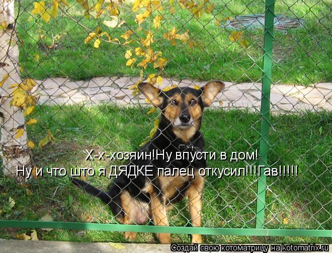 Котоматрица: Х-х-хозяин!Ну впусти в дом! Ну и что што я ДЯДКЕ палец откусил!!!Гав!!!!!