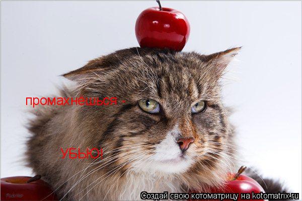 Котоматрица: промахнёшься  - УБЬЮ!