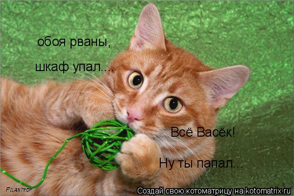 Котоматрица: обоя рваны , шкаф упал.... Всё Васёк! Ну ты папал...