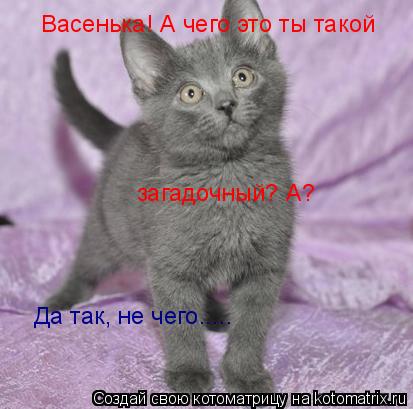 Котоматрица: Васенька! А чего это ты такой загадочный? А? Да так, не чего.....