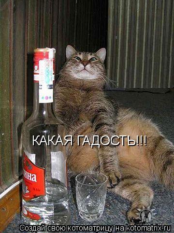 Котоматрица: КАКАЯ ГАДОСТЬ!!!