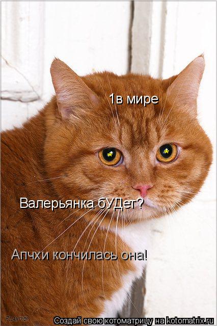 Котоматрица: Валерьянка бУДет? №1в мире * * Апчхи кончилась она!