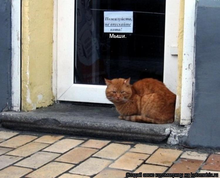 Мыши.... Котоматрица: Мыши.
