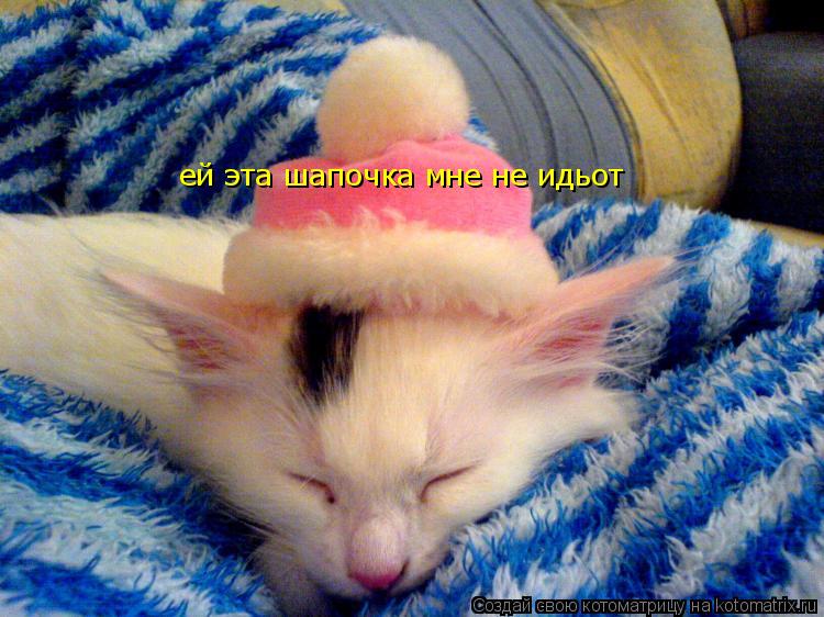 Котоматрица: ей эта шапочка мне не идьот