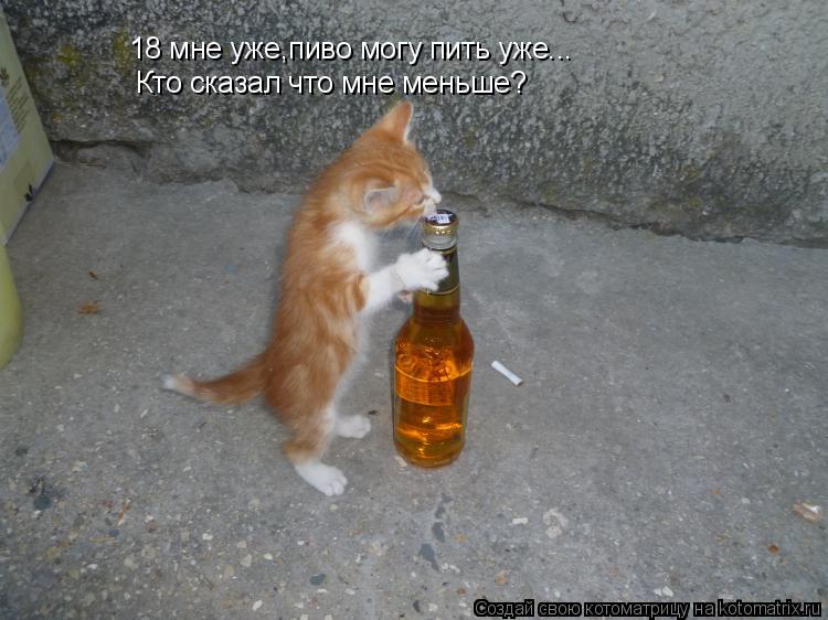 Котоматрица: 18 мне уже,пиво могу пить уже... Кто сказал что мне меньше?