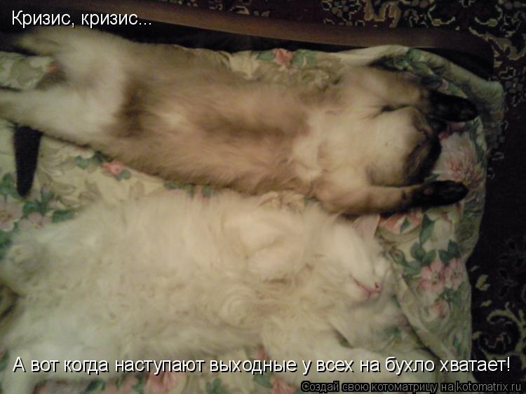 Кризис, кризис... А вот когда наступают выходные у всех на бухло хватает!... Котоматрица: Кризис, кризис... А вот когда наступают выходные у всех на бухло хватает!
