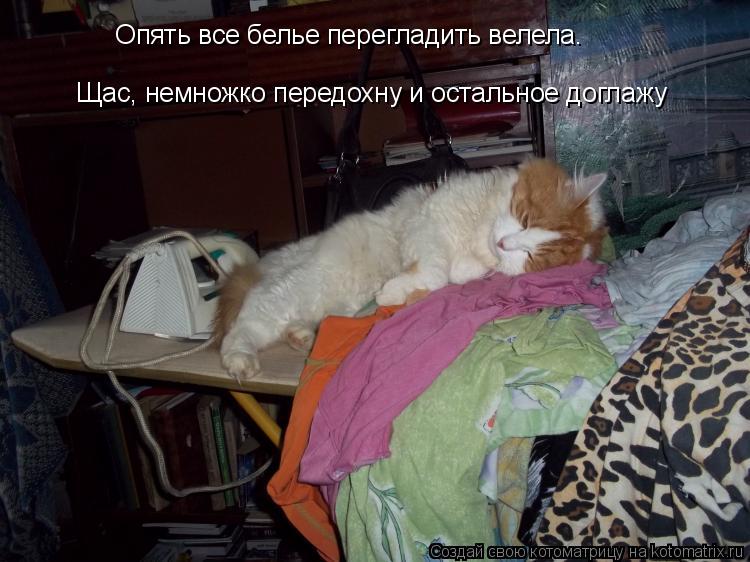 Опять все белье перегладить велела. Щас, немножко передохну и остальное доглажу... Котоматрица: Опять все белье перегладить велела. Щас, немножко передохну и остальное доглажу