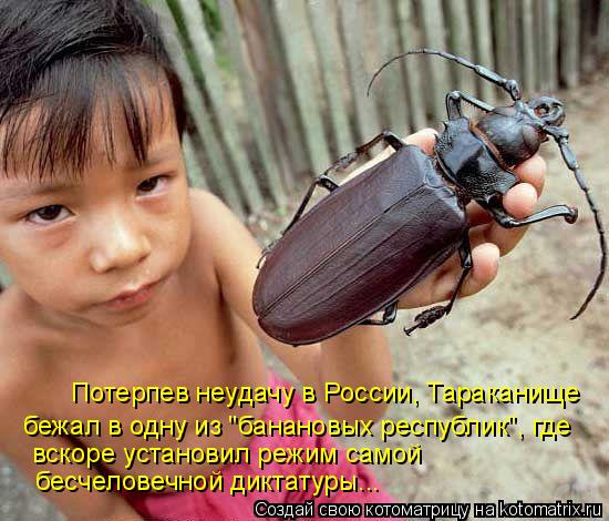 Потерпев неудачу в России, Тараканище бежал в одну из "банановых республик", где вскоре установил реж... Котоматрица: Потерпев неудачу в России, Тараканище бежал в одну из "банановых республик", где вскоре установил режим самой бесчеловечной диктатуры...