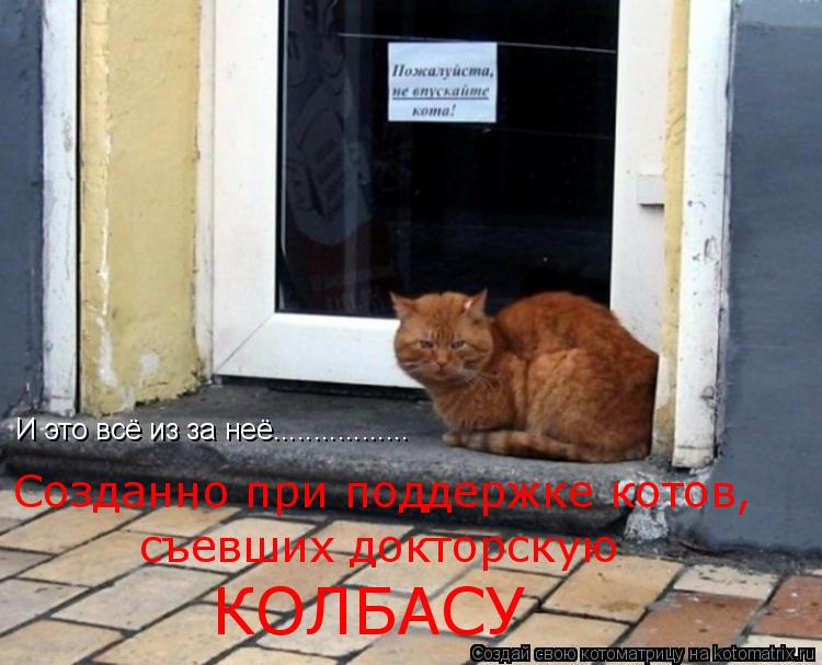 И это всё из за неё................. Созданно при поддержке котов, съевших докторскую КОЛБАСУ... Котоматрица: И это всё из за неё................. Созданно при поддержке котов, съевших докторскую КОЛБАСУ