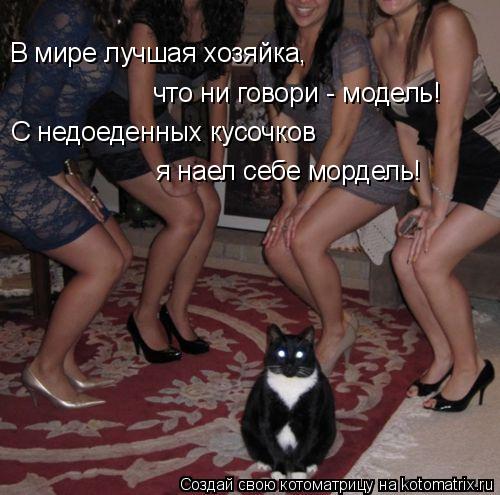 что ни говори - модель! В мире лучшая хозяйка, С недоеденных кусочков я наел себе мордель!... Котоматрица: что ни говори - модель! В мире лучшая хозяйка, С недоеденных кусочков я наел себе мордель!