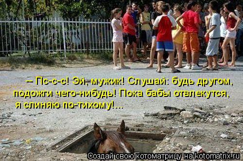 Котоматрица: -- Пс-с-с! Эй, мужик! Слушай: будь другом,  подожги чего-нибудь! Пока бабы отвлекутся,  я слиняю по-тихому!...