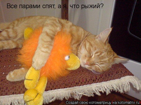 Котоматрица: Все парами спят, а я, что рыжий?