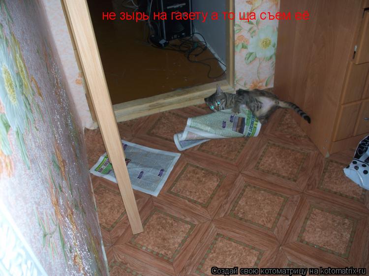 Котоматрица: не зырь на газету а то ща съем её