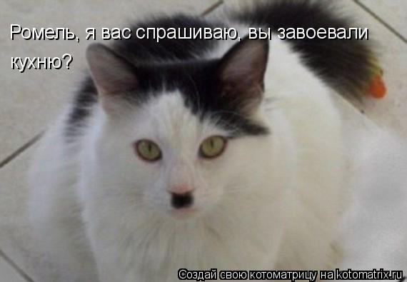 Котоматрица: Ромель, я вас спрашиваю, вы завоевали  кухню?