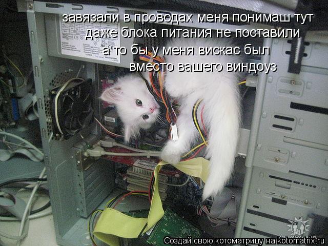 Котоматрица: даже блока питания не поставили а то бы у меня вискас был завязали в проводах меня понимаш тут вместо вашего виндоуз