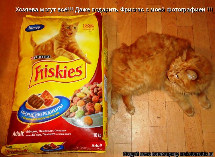 Котоматрица: Хозяева могут всё!!! Даже подарить Фрискас с моей фотографией !!!