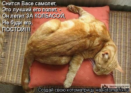 Котоматрица: Снится Васе самолет,  Это лучший его полет, - Он летит ЗА КОЛБАСОЙ,  Не буди его, ПОСТОЙ!!!