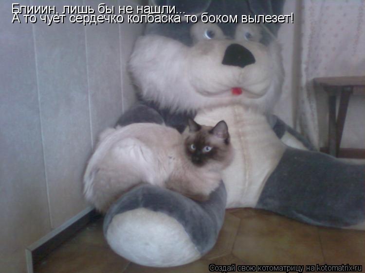 Котоматрица: Блииин, лишь бы не нашли... А то чует сердечко колбаска то боком вылезет!