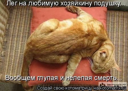 Котоматрица: Лег на любимую хозяйкину подушку... Вообщем глупая и нелепая смерть...