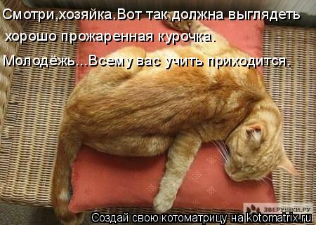 Котоматрица: Смотри,хозяйка.Вот так должна выглядеть хорошо прожаренная курочка. Молодёжь...Всему вас учить приходится.