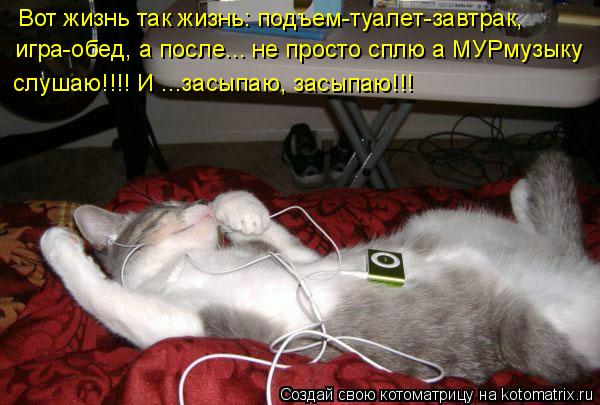 Котоматрица: Вот жизнь так жизнь: подъем-туалет-завтрак, игра-обед, а после... не просто сплю а МУРмузыку слушаю!!!! И ...засыпаю, засыпаю!!!