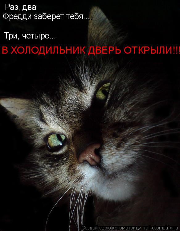 Котоматрица: Раз, два Фредди заберет тебя.... Три, четыре... В ХОЛОДИЛЬНИК ДВЕРЬ ОТКРЫЛИ!!!